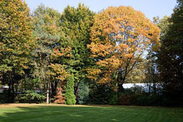50/50 Belmont (Ede)